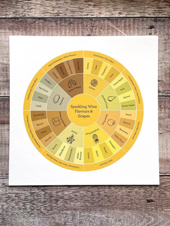Illustrated Sparkling Wine Flavour Wheel print