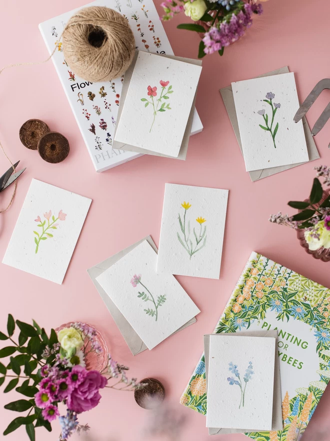 six plantable wildflower notecards arranged on a pink background