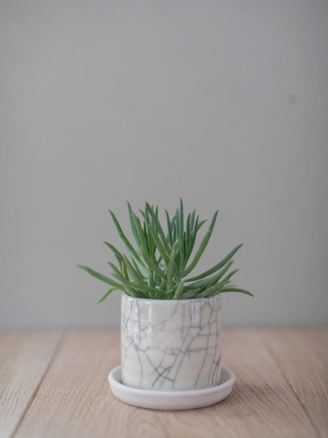 planter and saucer handmade set