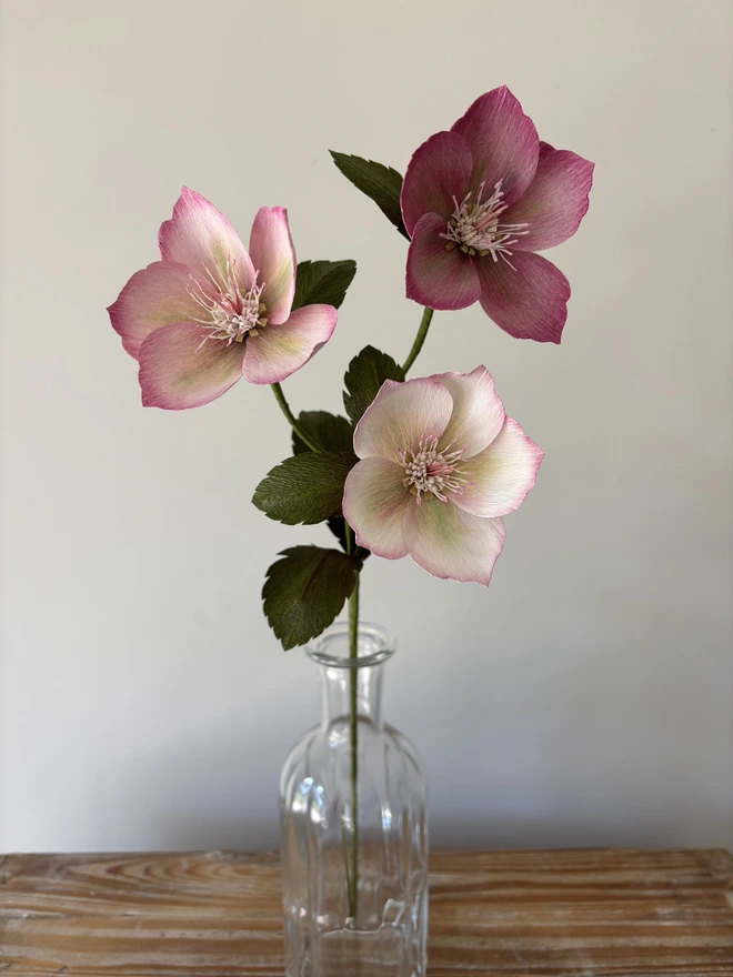 bouquet of 3 paper hellebore flowers lighter toned Pink variant