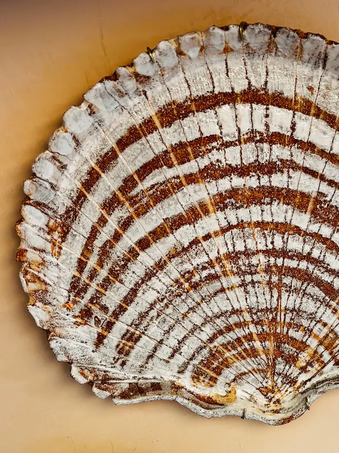 2. Scallop Shell Wall Plate