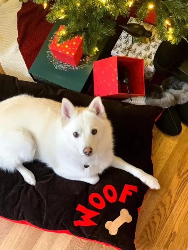 Christmas Dog On Their Christmas Bed