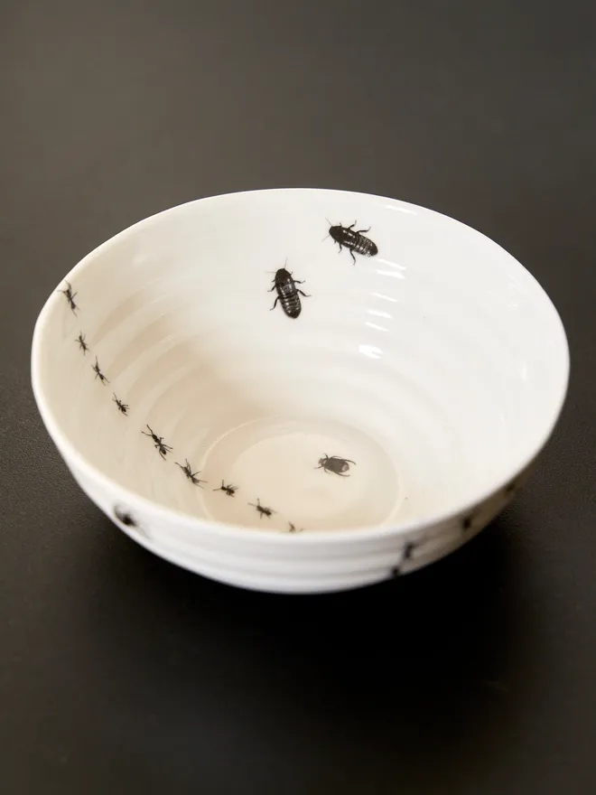 Insect ceramic bowl