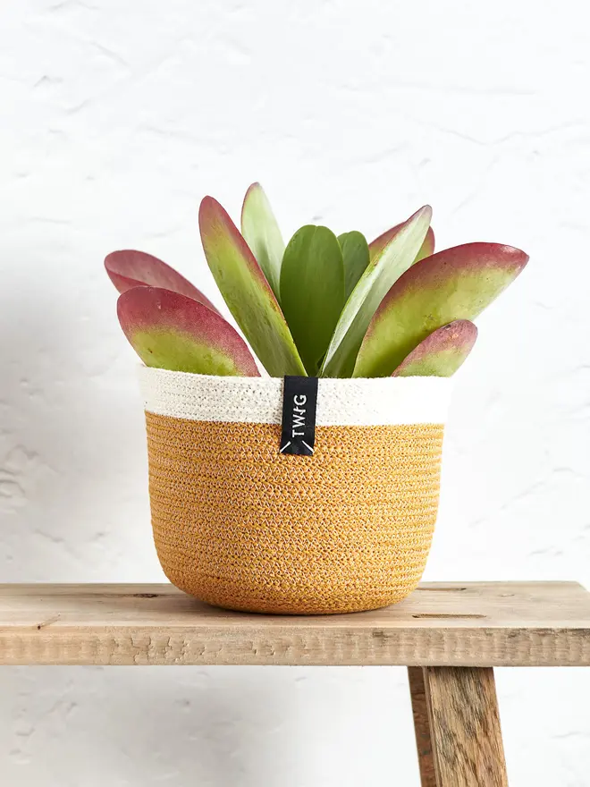 Small Natural Cotton Pot