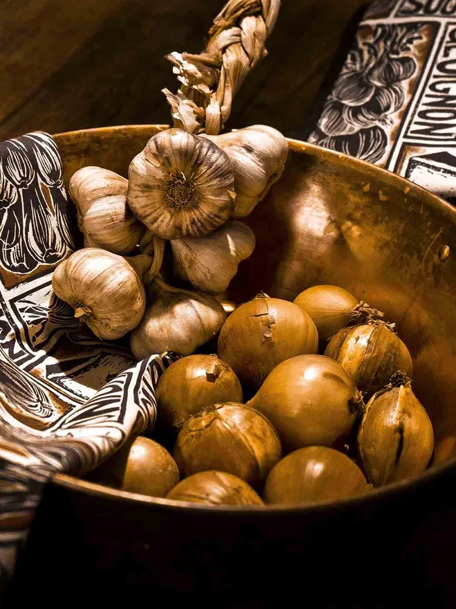 Onions and Garlic Berndt Unger photography