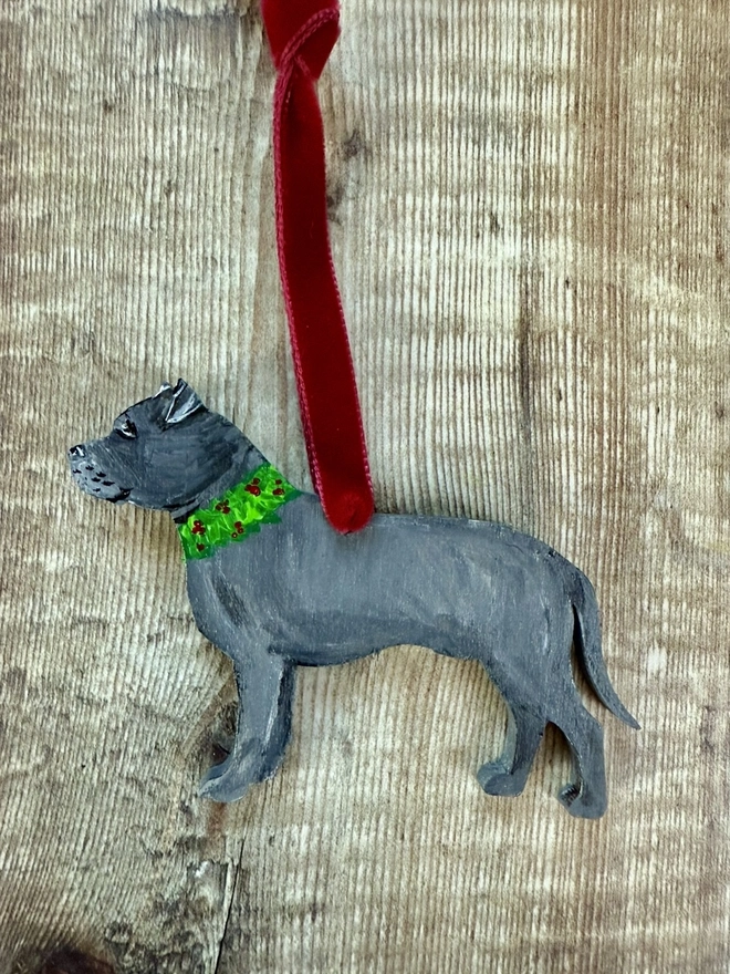 Grey Staffordshire Bull Terrier with a painted Holly wreath collar placed on a red book about dogs
