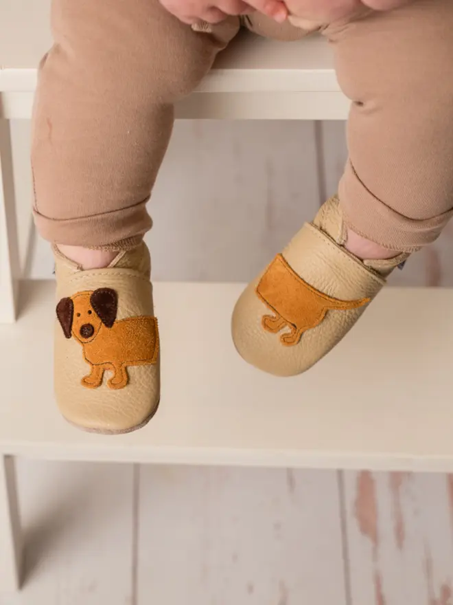 dachshund sausage dog baby shoes