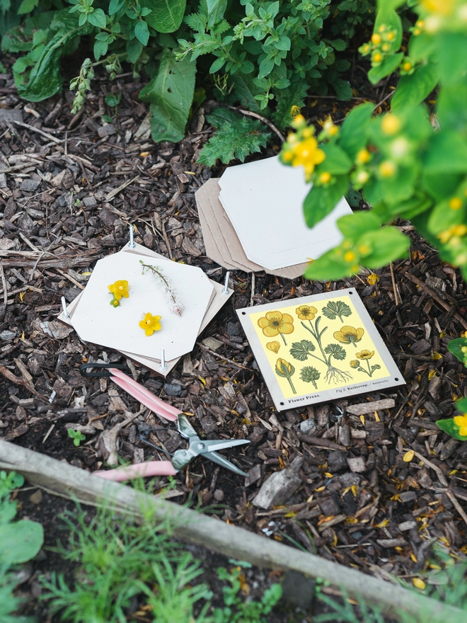 Flower press in the garden