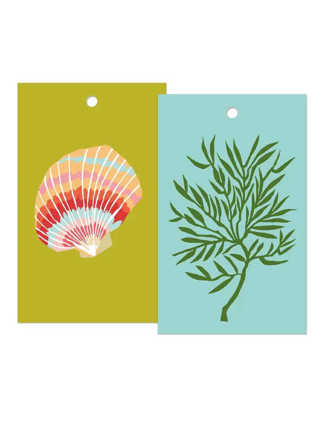 illustrated shells gift tags