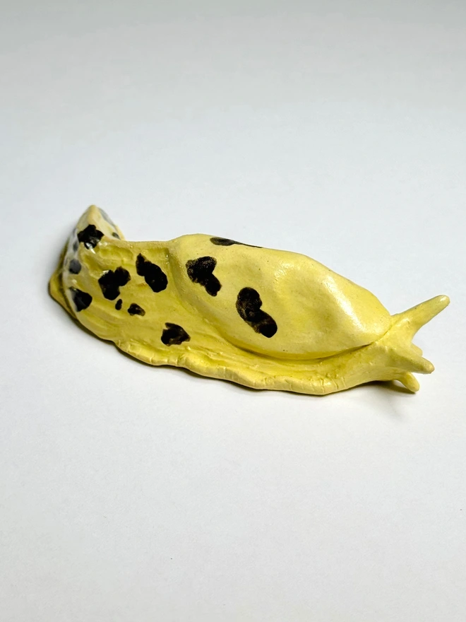 Banana Slug III