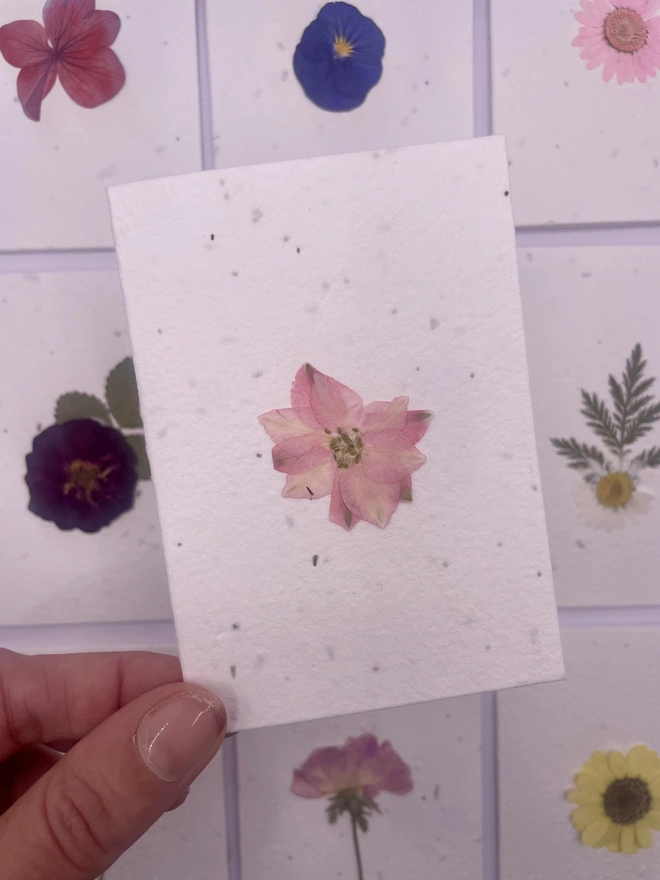 Real Pressed Flower Plantable Notecard, Pink