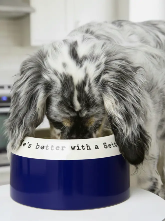 Setter bowl in Indigo