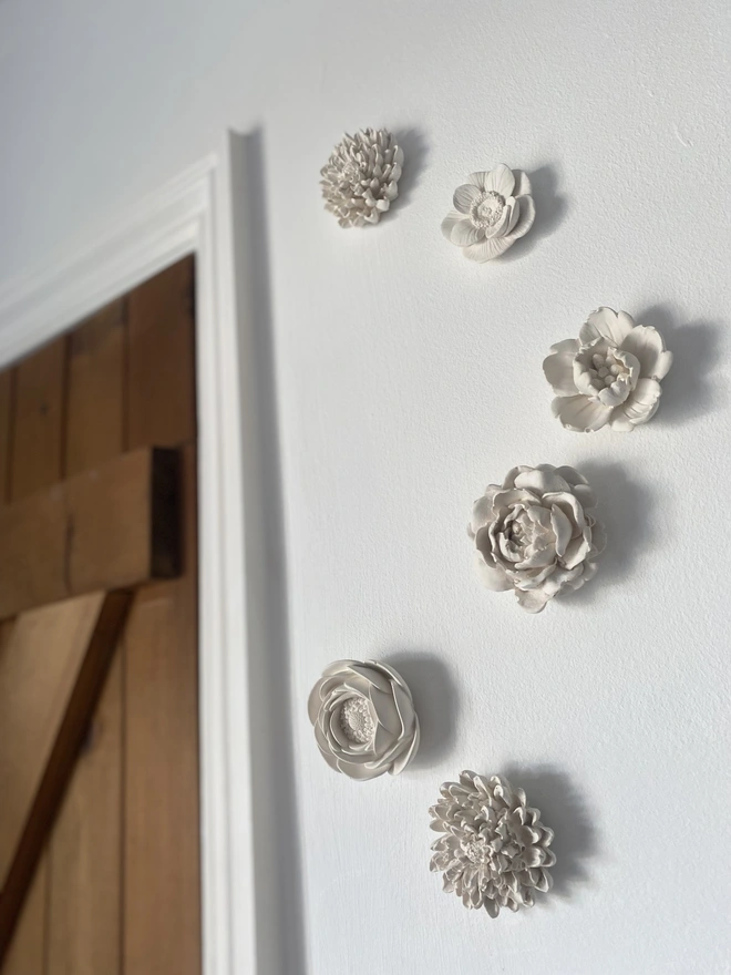 Concrete Wall Flowers