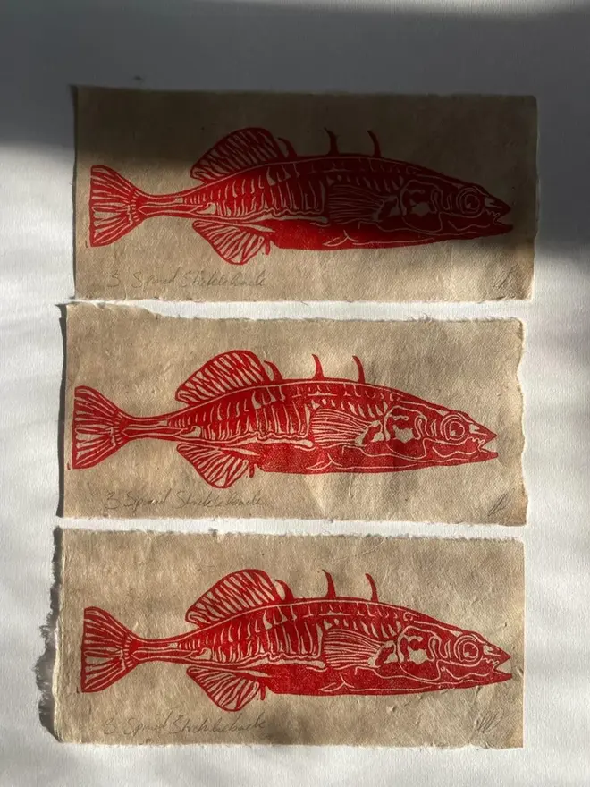 Lino Print Spiked Stickleback Fish On Handmade Paper