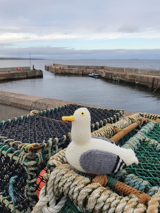 knitted seagull at John O Groats Scotland