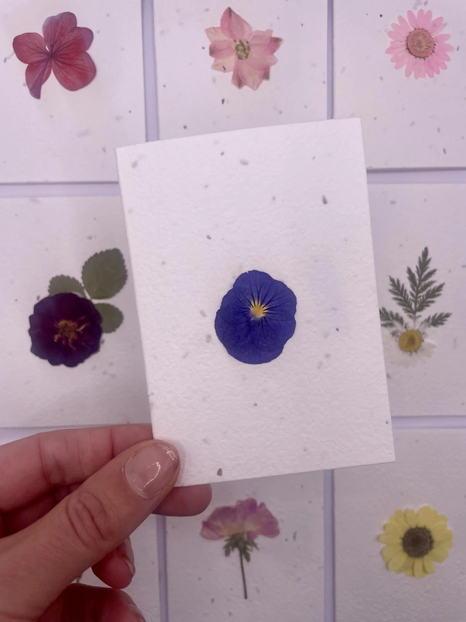 Real Pressed Flower Plantable Notecard, Pansy