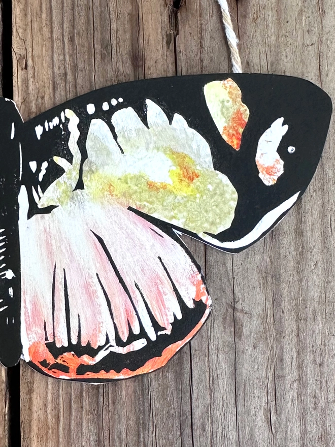 3 Hand Painted Butterflies. Set Of Linocut Wall Hangings. Close up of peach and yellow wing.  