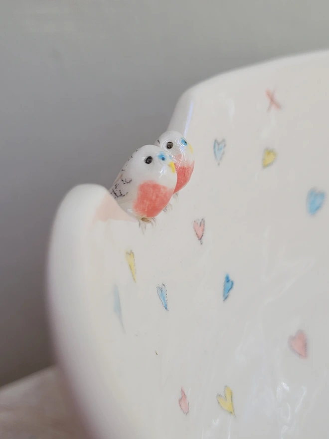 close up of a tiny pink budgie couple on a ceramic bowl with blue, yellow and pink hearts
