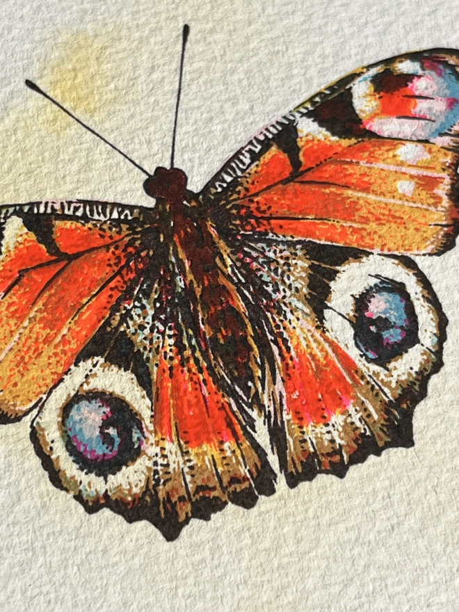 Peacock Butterfly Screenprint