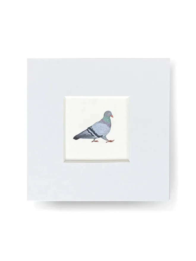 Pigeon Tiny Print