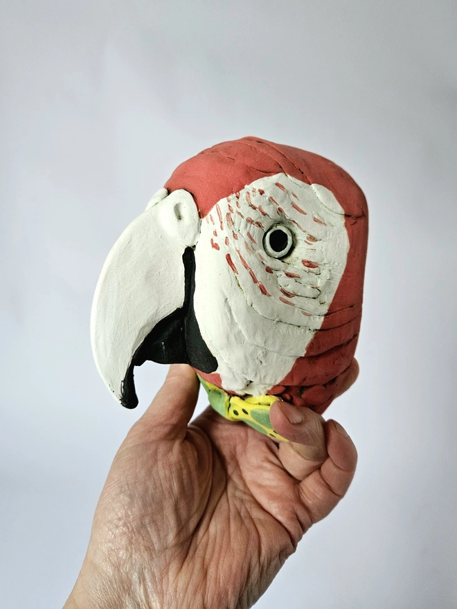 Reggie Scarlett Macaw Parrot Ceramic Trophy Style Head