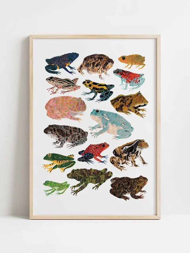 Frogs and Toads Print