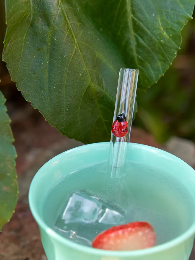 Ladybird reusable drinking straw