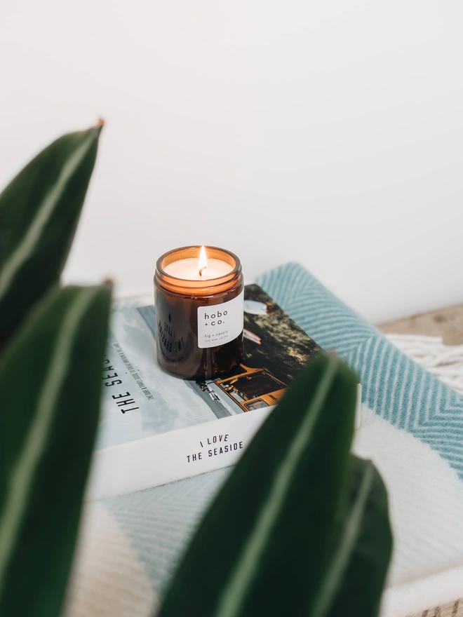 fig and cassis medium jar candle lit 