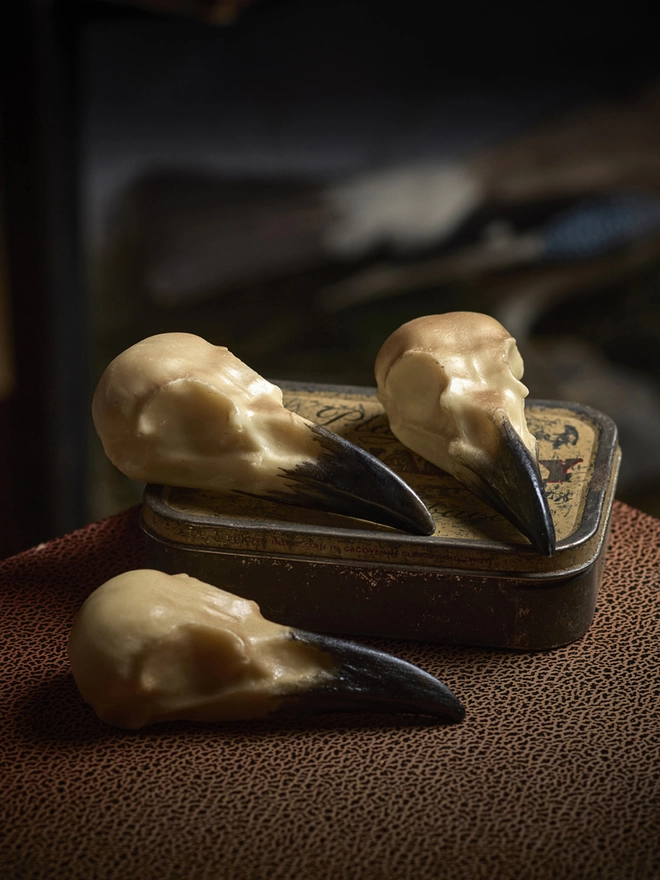 Realistic edible white chocolate crow skulls on antique tin