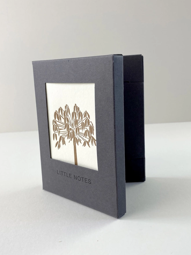 Letterpress gift box with eight little cards and nine envelopes inside for those naughty little mistakes 