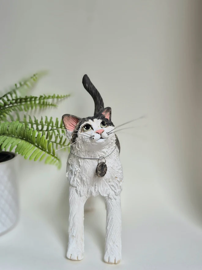 White and grey fluffy cat