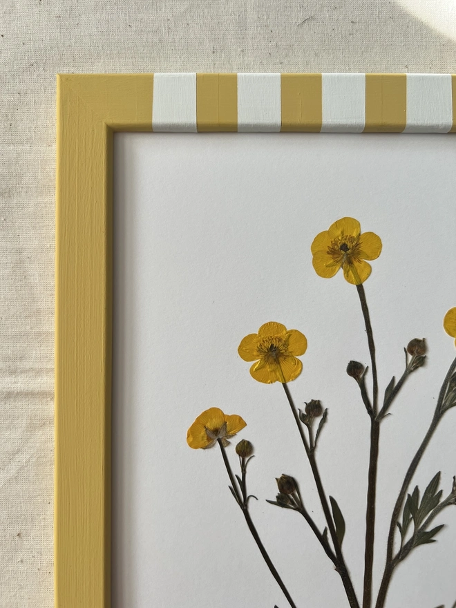 close up of top left hand corner of frame