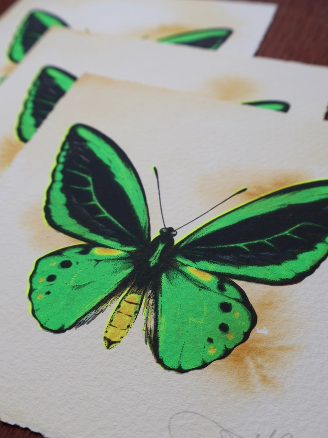 Limited Edition screenprint artwork of a Green Birdwing Butterfly by artist Kath Leone London