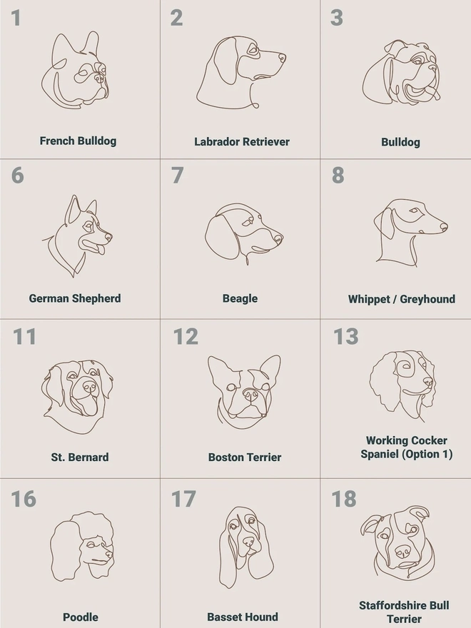 Dog Breeds