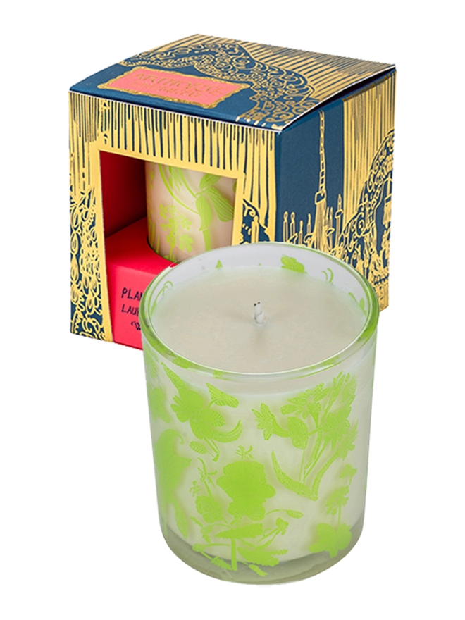 laura's floral, wild fig & grape charity candle in a reusable glass with bright green illustrations