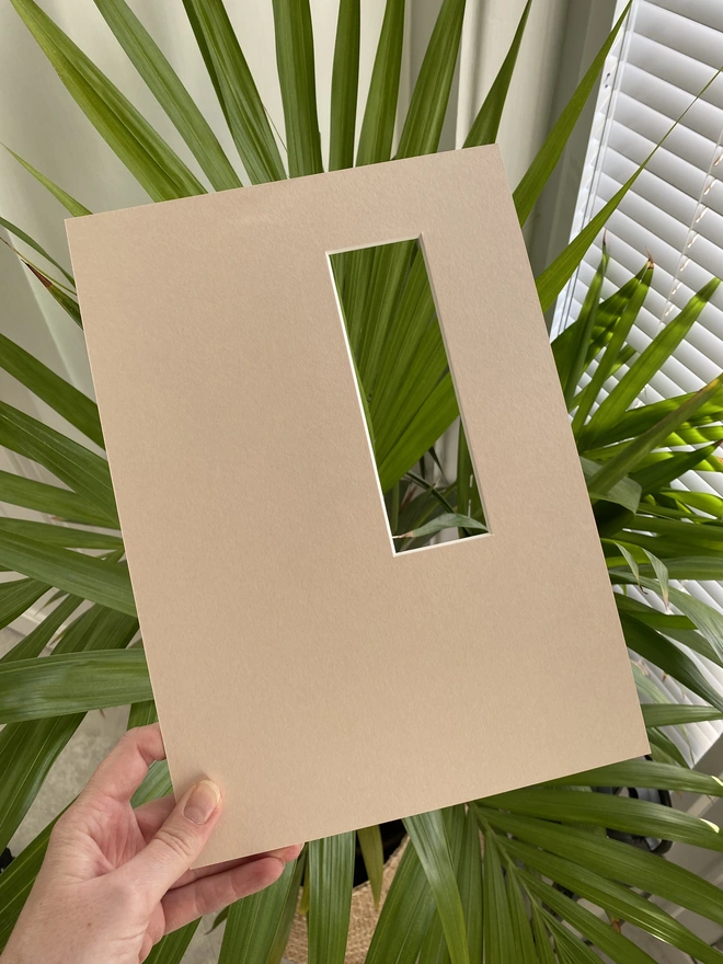 LNN's beige photo strip / photo booth mount