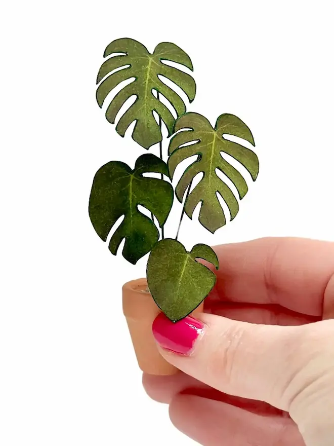 Finished Monstera Paper Plant