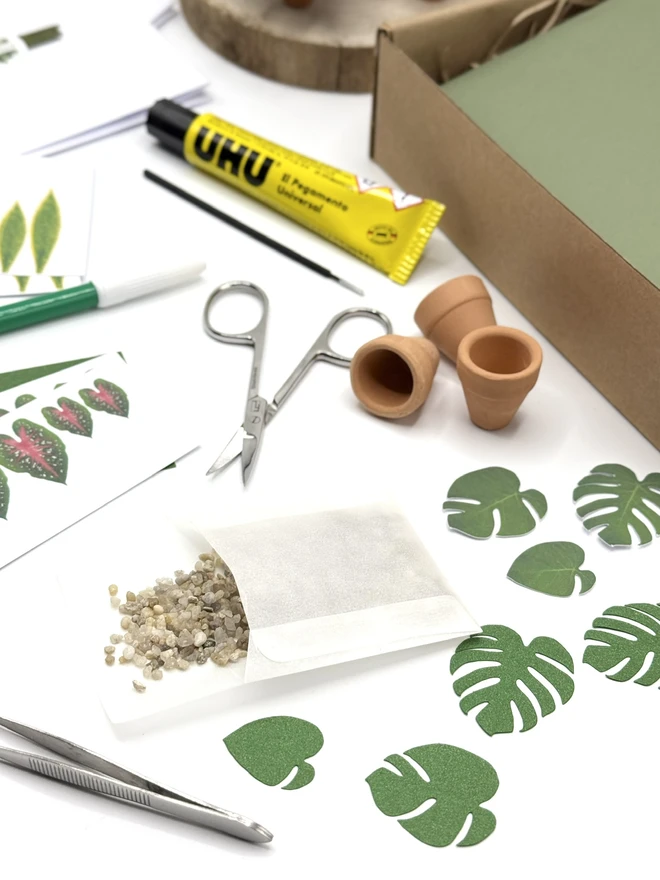 Close up of paper plant kit contents