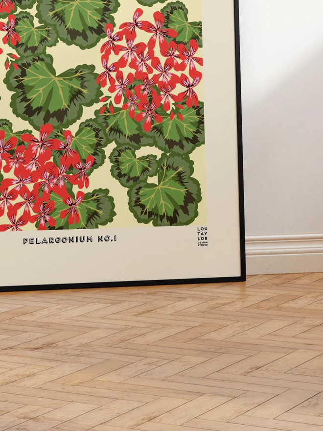 red pelargonium giclee print