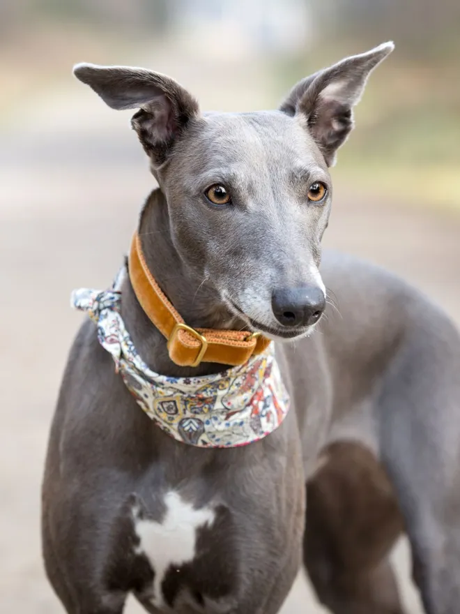 Pomegranate Carnaby Street Dog Bandana