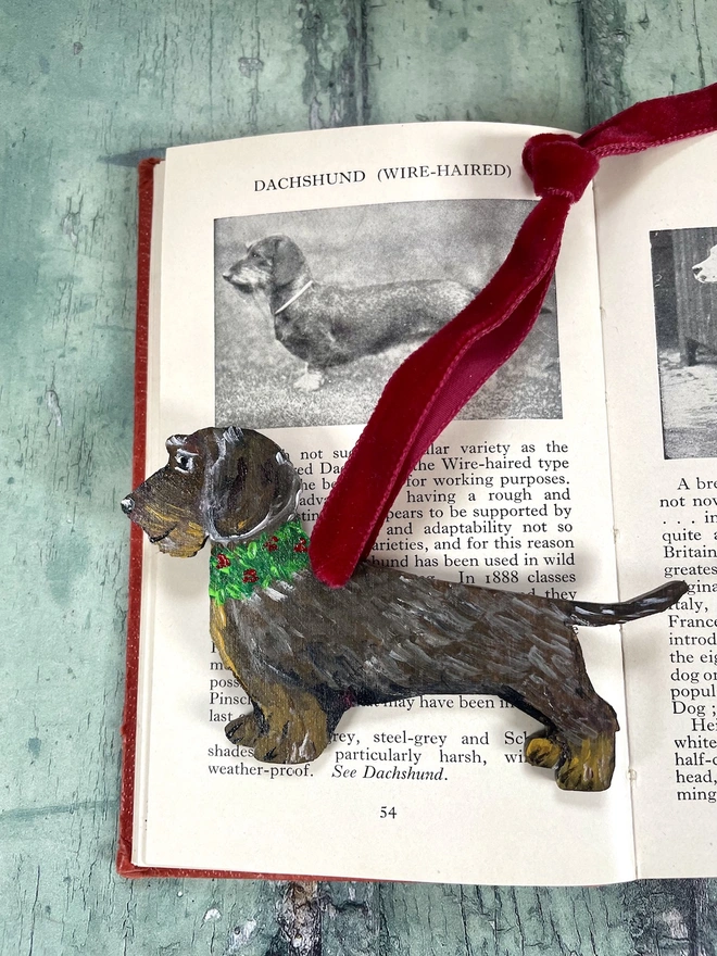 Wire Haired Dachshund Christmas Decoration with red velvet ribbon 