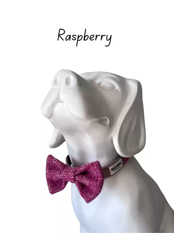 raspberry dog bow tie 