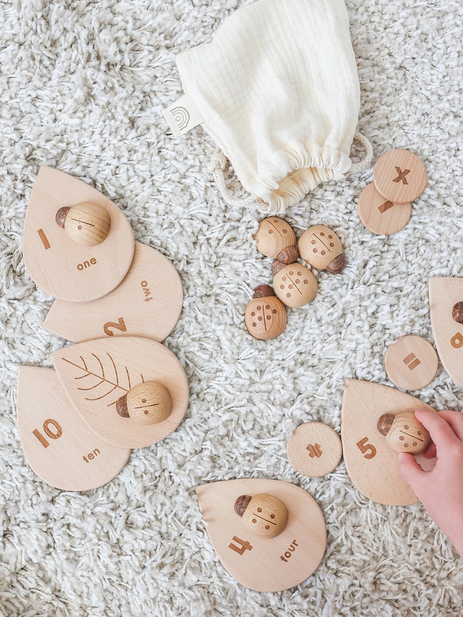 Wooden ladybirds with leaves math set