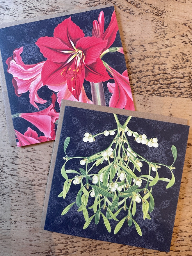 Botanical Christmas cards showing a photo of  the Amaryllis and Mistletoe. The floral designs are set against a black background which gives a traditional look and makes the design stand out. The cards are supplied with a recycled, brown kraft envelope.