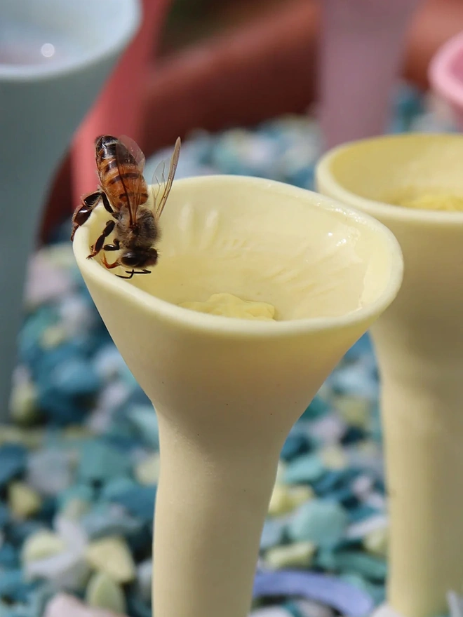 Bee Cup For Thirsty Pollinators Watering Stations 
