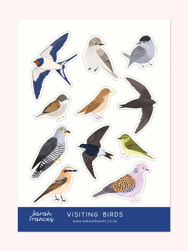 British Visiting Birds Sticker Sheet