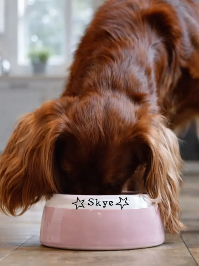 Cavalier King Charles Ear Free Bowl in Peony