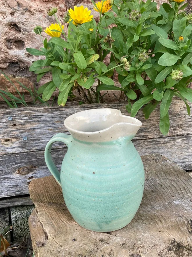 Medium Eucalyptus Jug