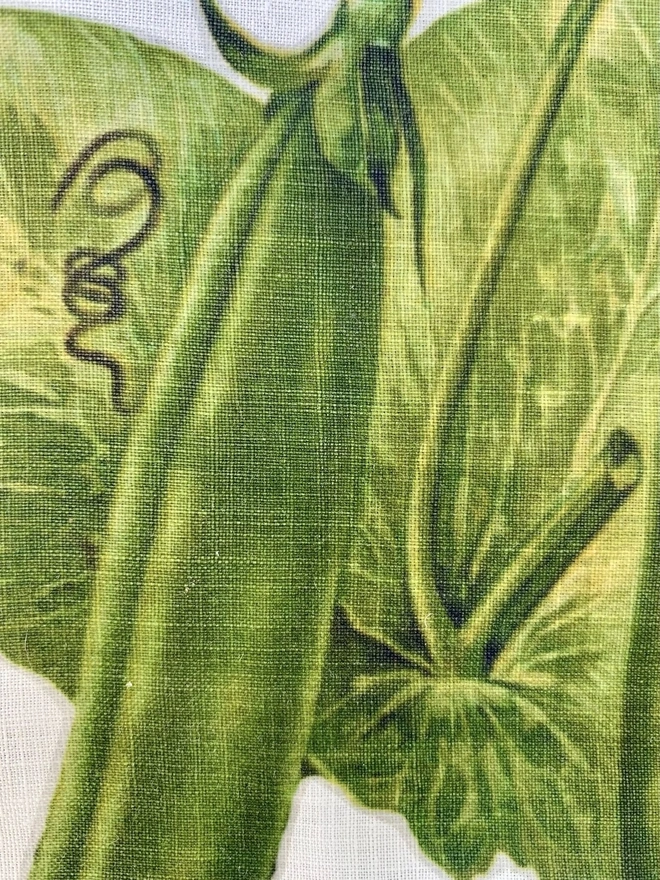 A close up of some pea pods printed onto vintage cotton linen