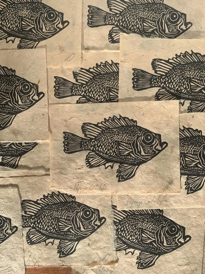 Lino Print Popeye Catalufa Fish On Handmade Paper